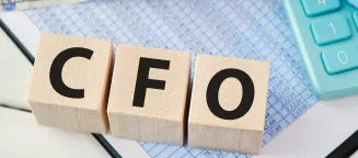 CFO Analytical & Business Advisory Services